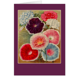 Cartes d'art de paquet de graine de gloires de