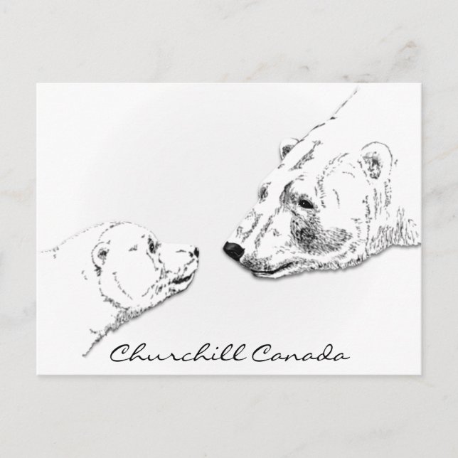 Cartes d'art pour ours polaires Churchill Canada (Devant)