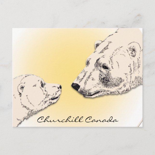 Cartes d'art pour ours polaires Churchill Canada (Devant)