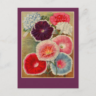 Cartes d'art pour paquets de semences