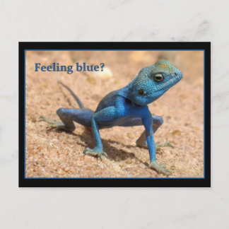 Cartes de bien-être bleu