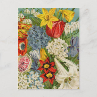 Cartes de catalogue de paquets de semences vintage