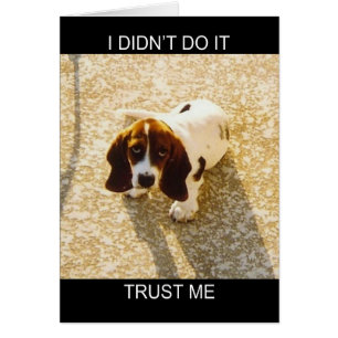 Cartes de chien de basset-hound