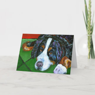 Cartes "de chien de montagne de Bernese"