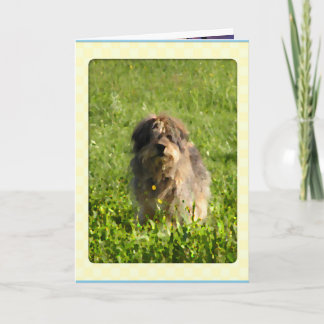 Cartes de chiens Rainbow Bridge