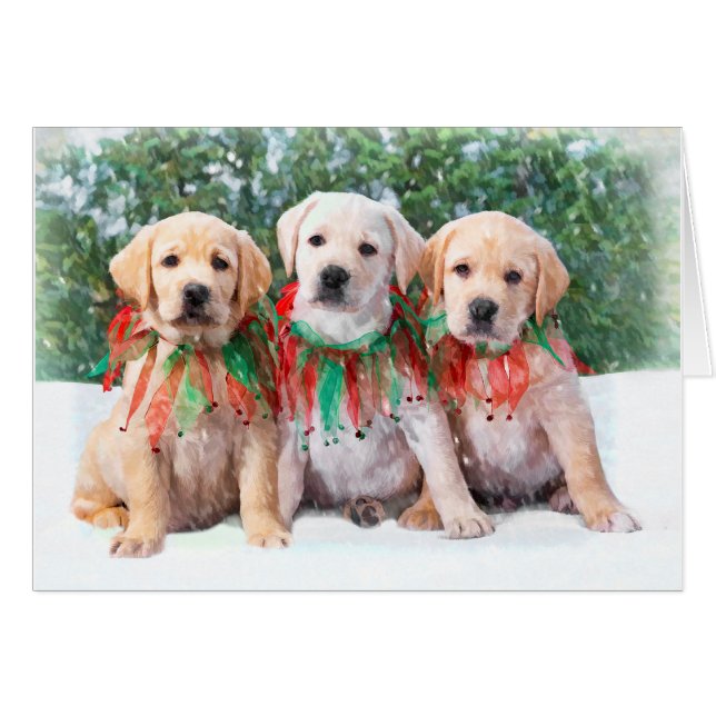 Cartes de chiot de labrador retriever (Devant horizontal)