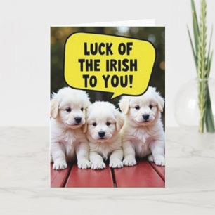 Cartes de chiots irlandais chanceux et mignons