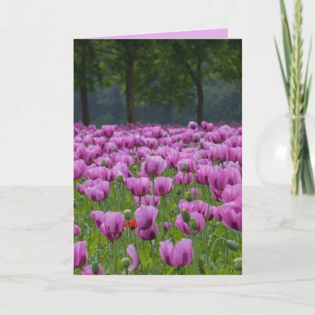 CARTES DE CONDOLÉANCES TULIPES VIOLETTES (Devant)