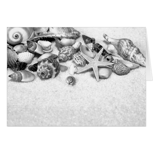 Cartes de coquilles et de poisson-Starfish (Devant Horizontal)