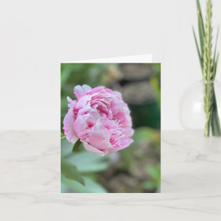 Cartes de fleurs de NYC
