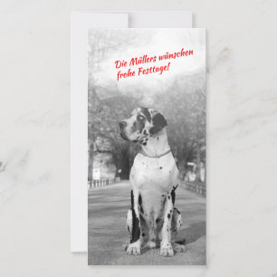 Cartes de foto de Noël de great dane
