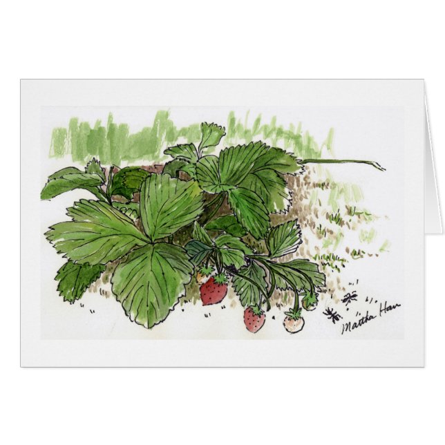 Cartes de fraises (Devant horizontal)