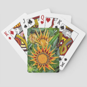 Cartes de jeu à fleurs de Gazania