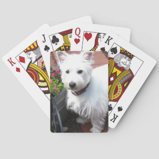 Cartes de jeu adorables de Westie