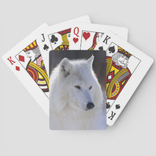 Cartes de jeu arctiques de loup blanc