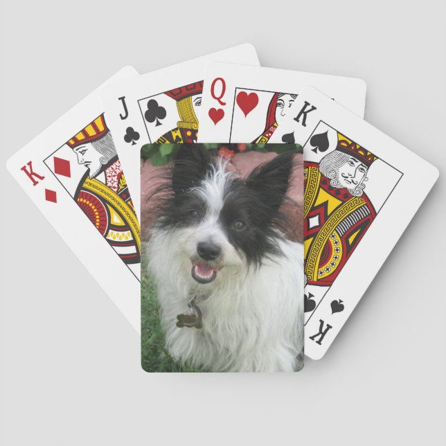 Cartes de jeu avec des chiens (dos)