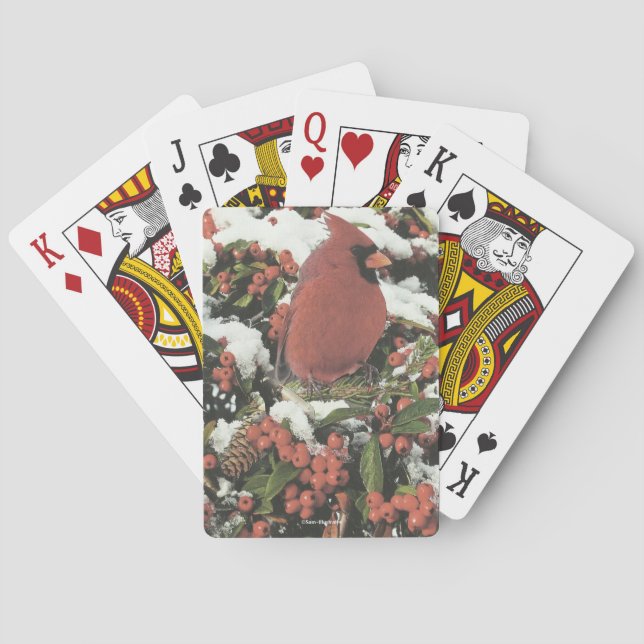 Cartes de jeu cardinales de vacances (dos)