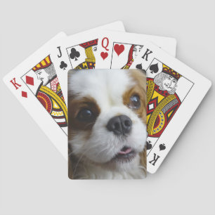 Cartes de jeu cavalières du Roi Charles de