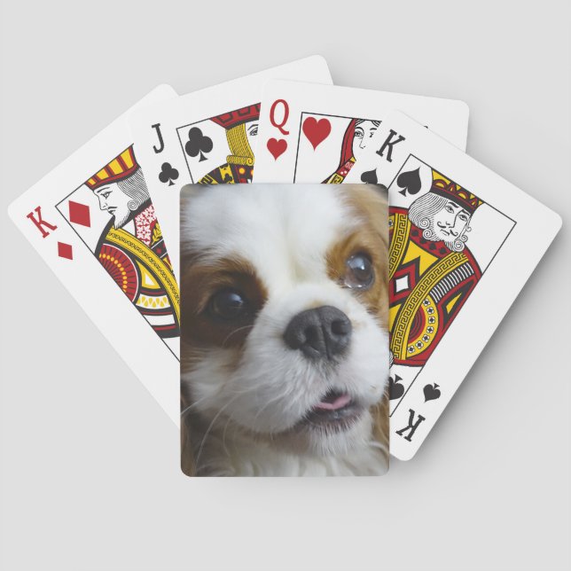 Cartes de jeu cavalières du Roi Charles de (dos)