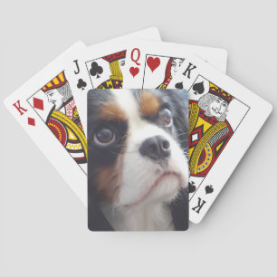 Cartes de jeu cavalières tricolores du Roi Charles