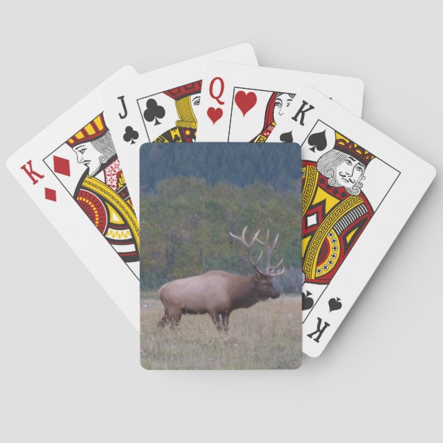 Cartes de jeu classiques de wapitis taureau (dos)