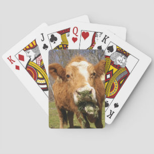 Cartes de jeu Cow Bicycle®