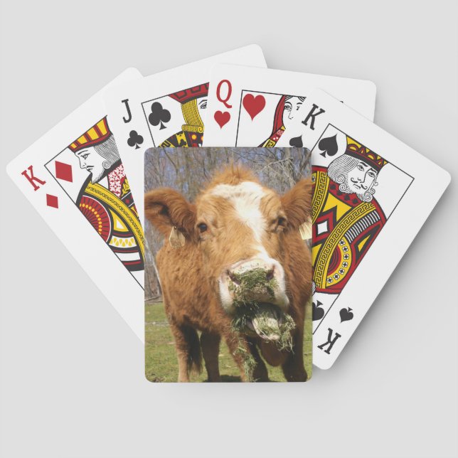 Cartes de jeu Cow Bicycle® (dos)