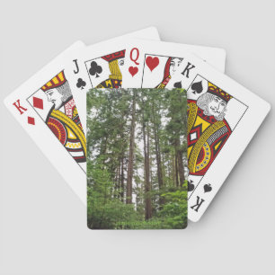 Cartes de jeu d'arbres grands