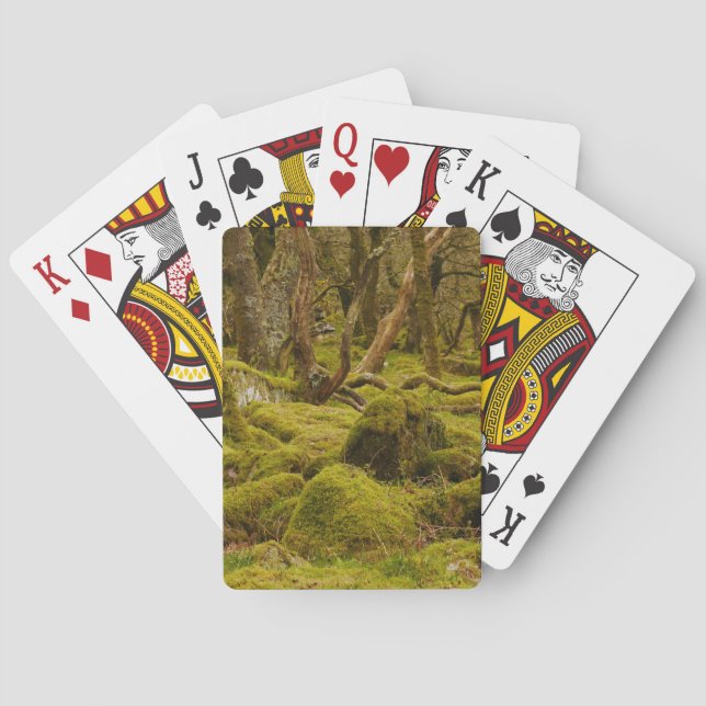 Cartes de jeu Dartmoor Woodland (dos)