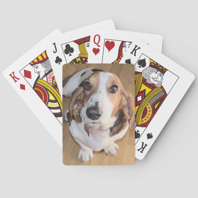 Cartes de jeu de Basset Hound (dos)