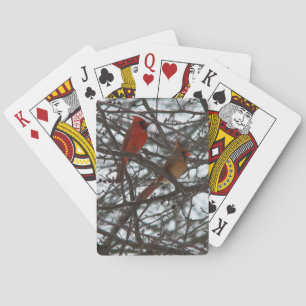 Cartes de jeu de cardinaux