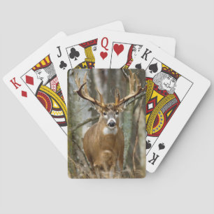 Cartes de jeu de cerfs communs de mâle