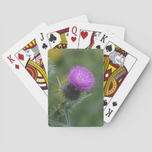 Cartes de jeu de chardon