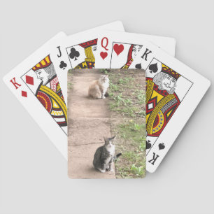 Cartes de jeu de chats