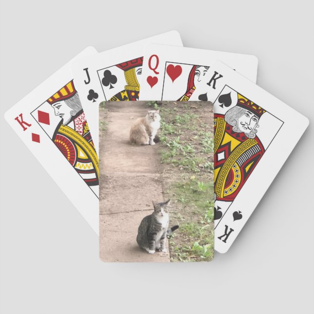 Cartes de jeu de chats (dos)