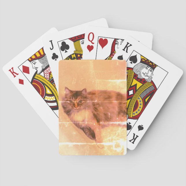 Cartes de jeu de chats (dos)
