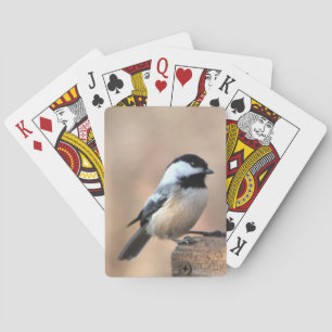 Cartes de jeu de Chickadee