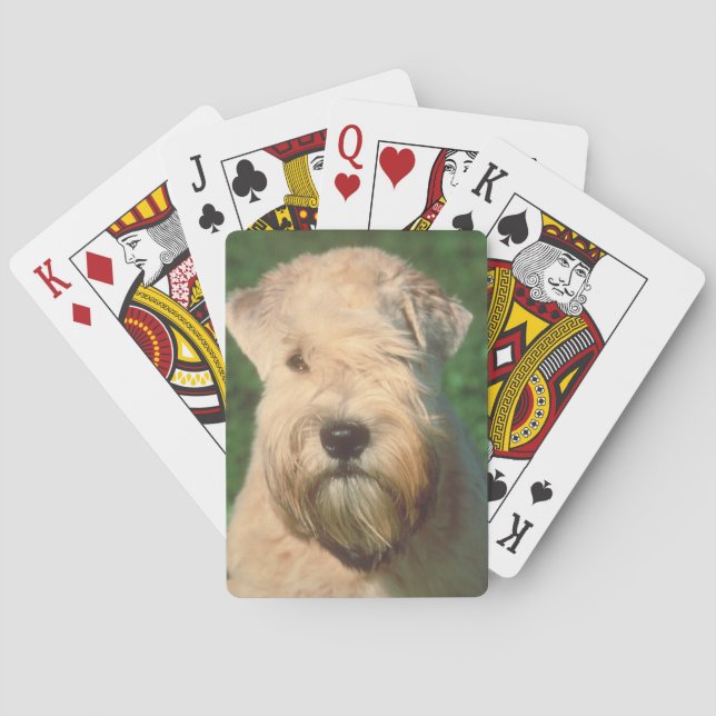 Cartes de jeu de chien de Terrier roux à revêtemen (dos)