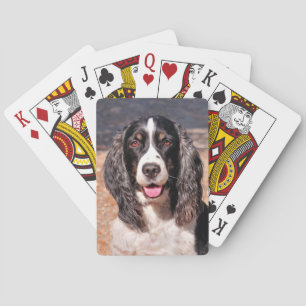 Cartes de jeu de chien espagnol Springer