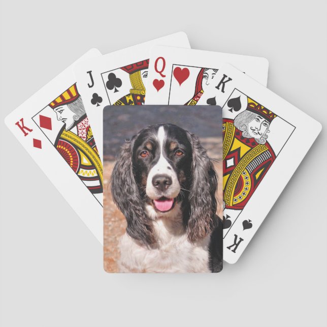 Cartes de jeu de chien espagnol Springer (dos)