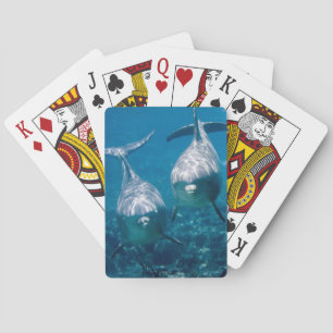 Cartes de jeu de dauphin
