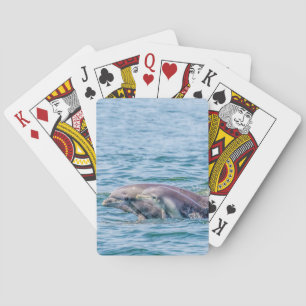 Cartes de jeu de dauphin et de bébé de l'amour de