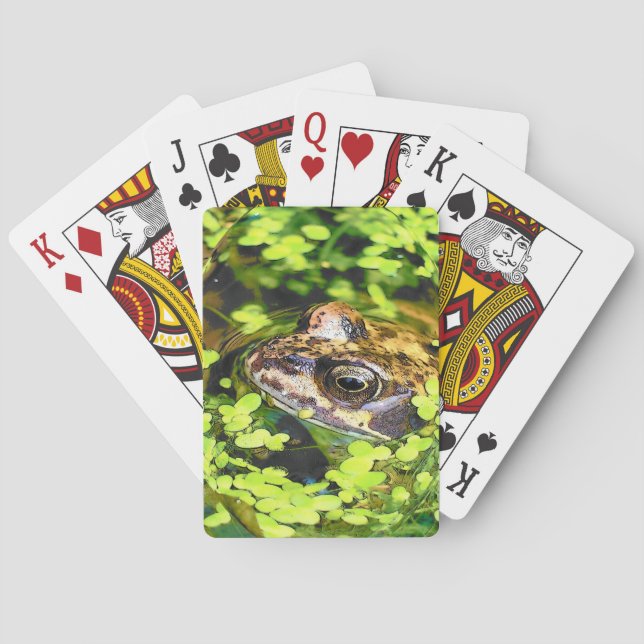 CARTES DE JEU DE FROG (dos)
