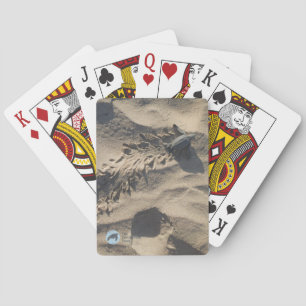 Cartes de jeu de Hatchling
