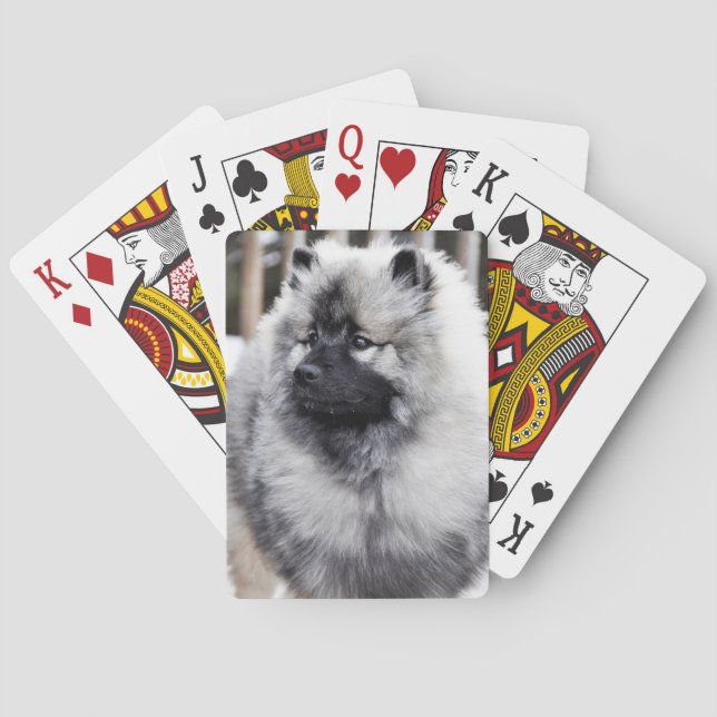 Cartes de jeu de Keeshond (dos)