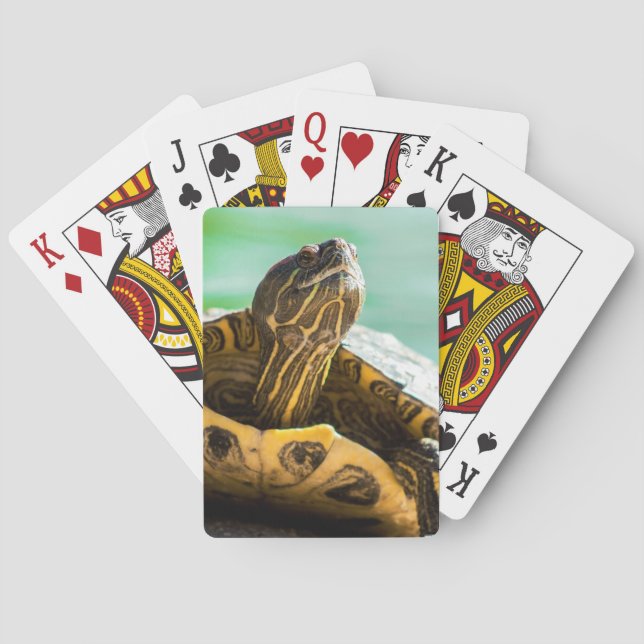 Cartes De Jeu De La Tortue (dos)