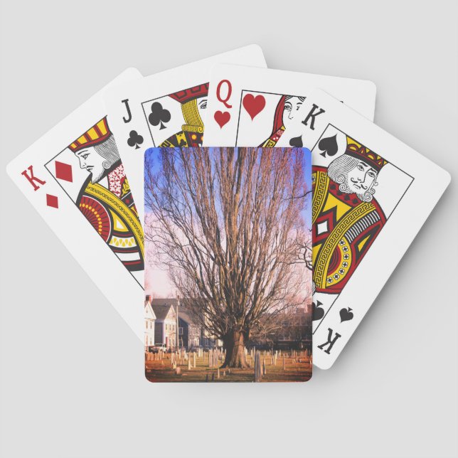 Cartes de jeu de l'Arbre à aubépine (dos)