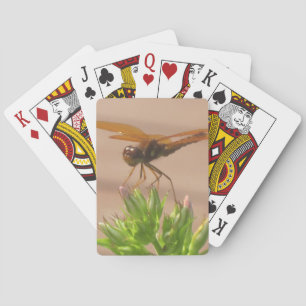 Cartes de jeu de libellules