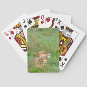 Cartes de jeu de lionne et de bébé de l'amour de