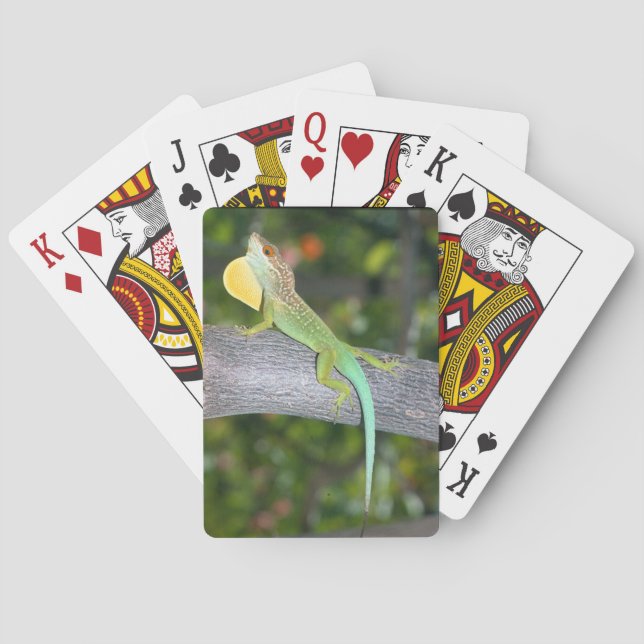 Cartes de jeu de lividus d'Anolis (dos)